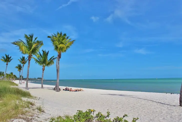 Immerse yourself in the beauty of sandy shores
