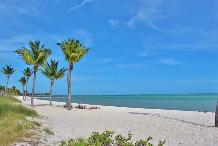 Immerse yourself in the beauty of sandy shores